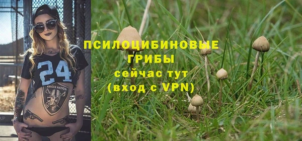 прущие крисы Кинешма