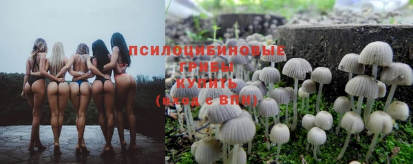 прущие крисы Кинешма