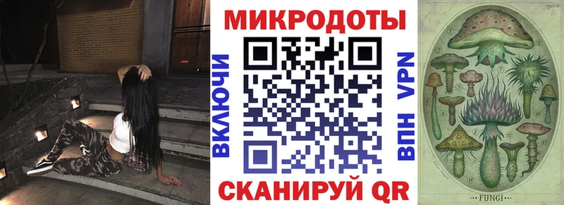 Галлюциногенные грибы Psilocybine cubensis  Купить  Новый Оскол 